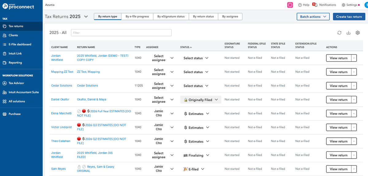 The ProConnect Tax Returns list in its normal light theme